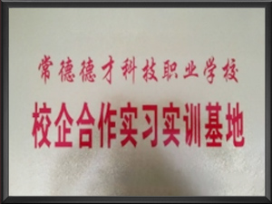 常德德才科技职业学校