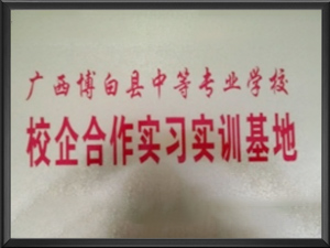 广西博白县中等专业学...