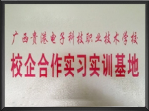 广西贵港电子科技职业...