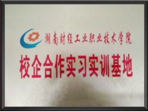 湖南财经工业职业技术...