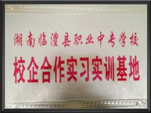 湖南临澧县职业中专学...