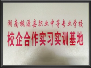 湖南桃源县职业中等专...